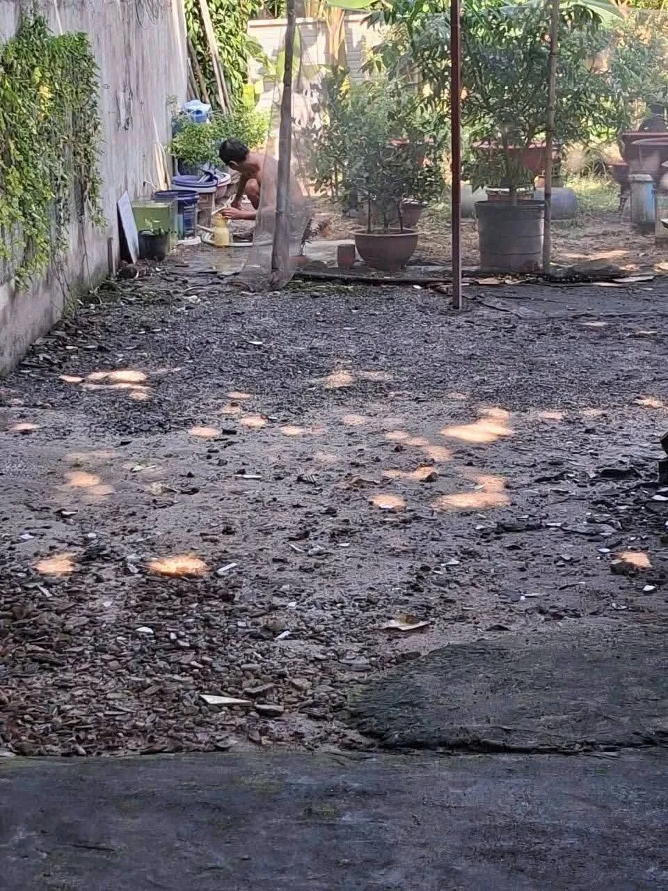 Bán đất 100m² Nguyễn Thị Pha Hóc Môn 1,65 tỷ - Ảnh 1