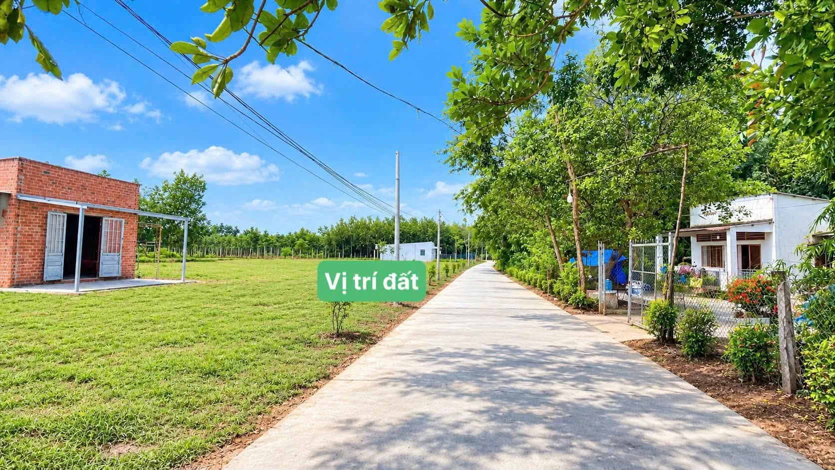Bán đất Tân Khai 250m² hơn 200 triệu - Ảnh 1