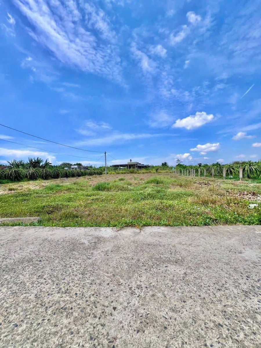 Bán đất 1.000m² 2 mặt tiền Phường Bình Thuận Quận 7 - Ảnh 1