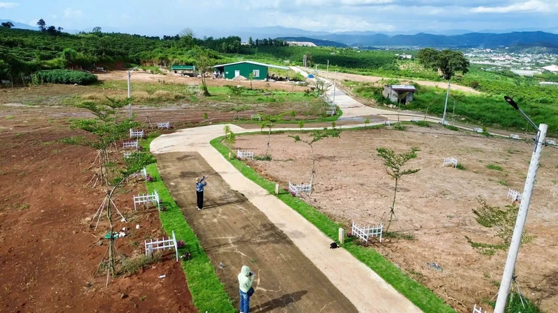 Bán đất 1.000m² giá 550 triệu, sổ riêng tại Đinh Văn, Lâm Hà, Lâm Đồng