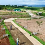 Bán đất 1.000m² giá 550 triệu, sổ riêng tại Đinh Văn, Lâm Hà, Lâm Đồng - Ảnh thu nhỏ 1