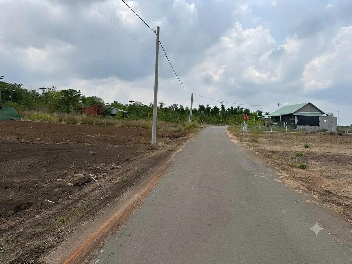 Bán đất Đá Bạc Long 195m2 giá 470 triệu Bình Chánh - Ảnh thu nhỏ 5