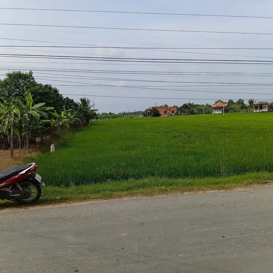 Bán đất lúa 1000m2 mặt tiền Cần Dước Long An - Ảnh thu nhỏ 2