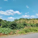 Bán lô đất MT gần 40m đường TL683, xã Đắk Sắk, H. Dăk Mil, Đắk Nông cũ - Ảnh thu nhỏ 5