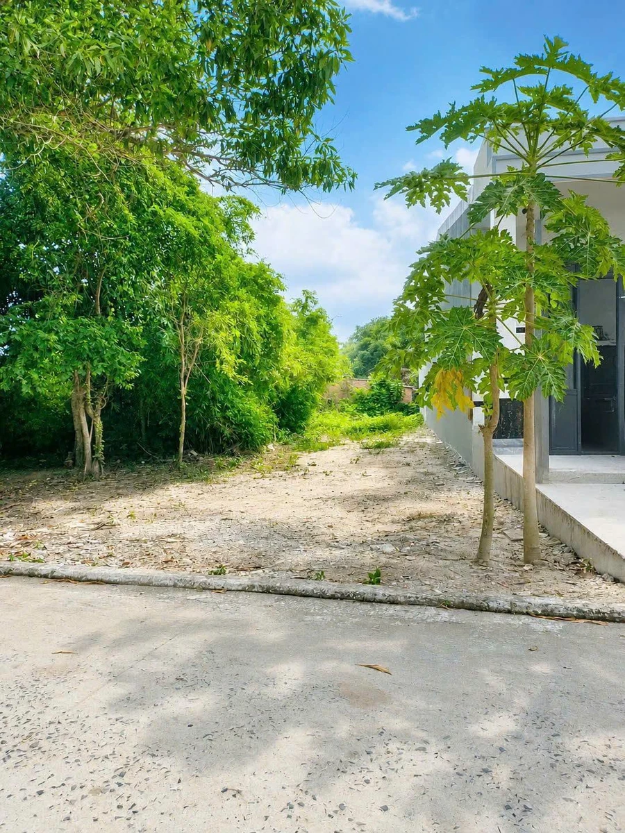 Bán đất nền 181m² Phan Đăng Lưu, Hiệp An, Bình Dương - Ảnh thu nhỏ 2