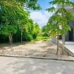 Bán đất nền 181m² Phan Đăng Lưu, Hiệp An, Bình Dương - Ảnh thu nhỏ 2