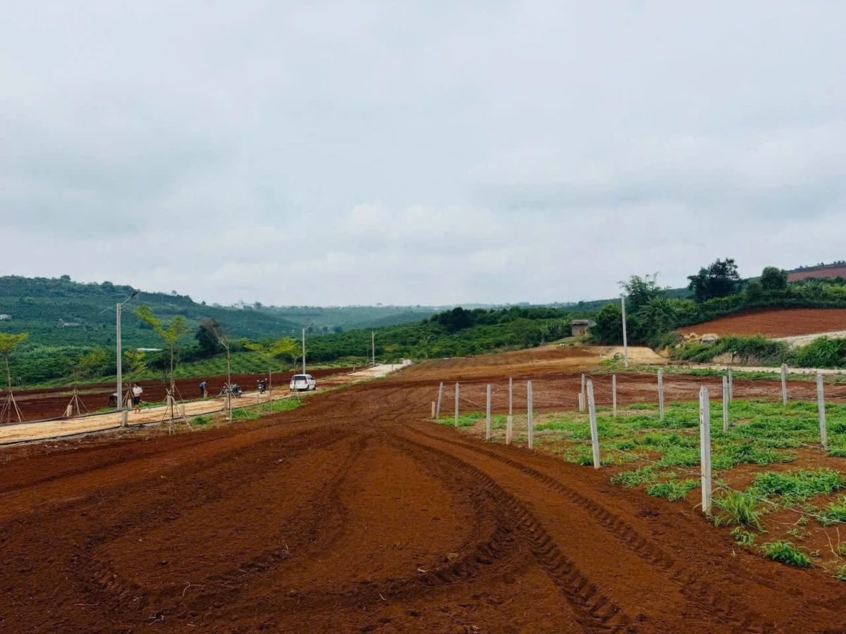 Bán đất thổ cư 6x24 giá 299 triệu tại Đinh Văn, Lâm Hà, Lâm Đồng - Ảnh thu nhỏ 2