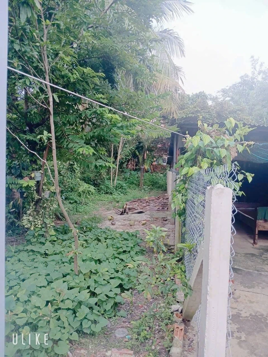 Bán đất thổ cư 10x28m5 Tây Ninh 1 tỷ 1 - Ảnh thu nhỏ 5