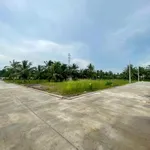 Nhà đất Phạm Tín tư vấn đầu tư nhà đất tại Trà Vinh - Phường Long Đức - đất nền thổ cư 100% - Ảnh thu nhỏ 4