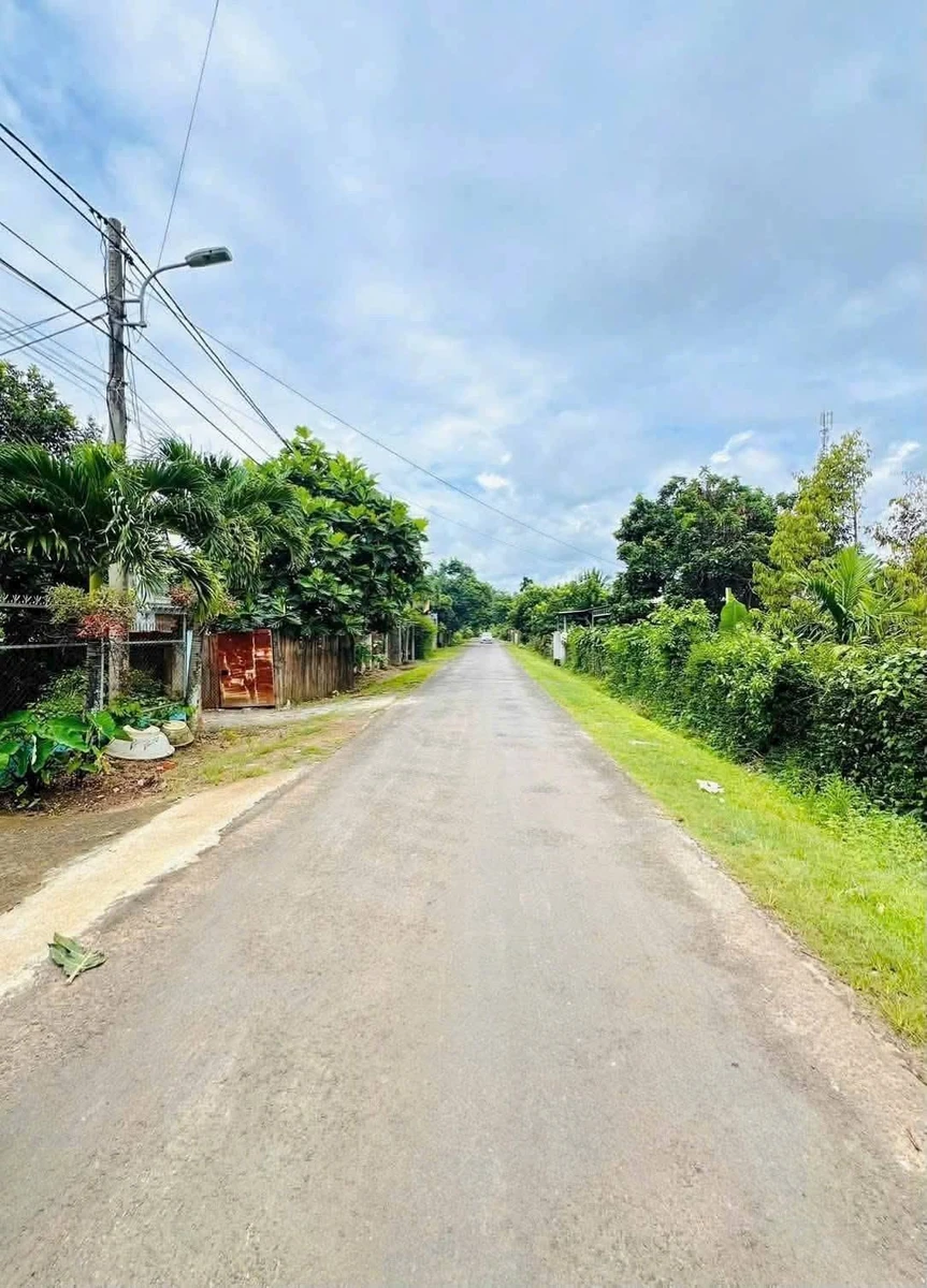 Bán đất mặt tiền Nguyễn Trường Tộ 95m², 1.9 tỷ - Ảnh thu nhỏ 2
