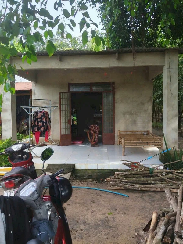 Bán nhà đất Ấp Thạnh Hưng Tây Ninh 383m² 350 triệu