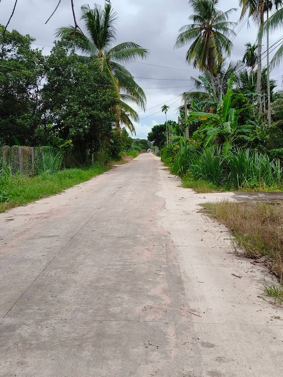 Bán đất 2136m² Phủ Hồng Tây Ninh, cách thị trấn 1km - Ảnh thu nhỏ 2
