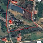 Bán trang trại gà 2 tầng + nhà kiên cố 5000m2 Đồng Tâm Yên Thế - Ảnh thu nhỏ 2