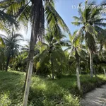Bán đất chính chủ diện tích 5.546m2 giá 7.5 tỷ mặt tiền ngang 100m tại Châu Thành, Bến Tre cũ - Ảnh thu nhỏ 3