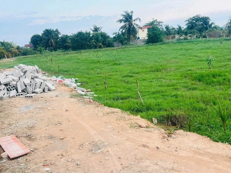 Bán đất cây trồng 1516m² 750 triệu Lâm Đồng