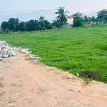 Bán đất cây trồng 1516m² 750 triệu Lâm Đồng - Ảnh thu nhỏ 1