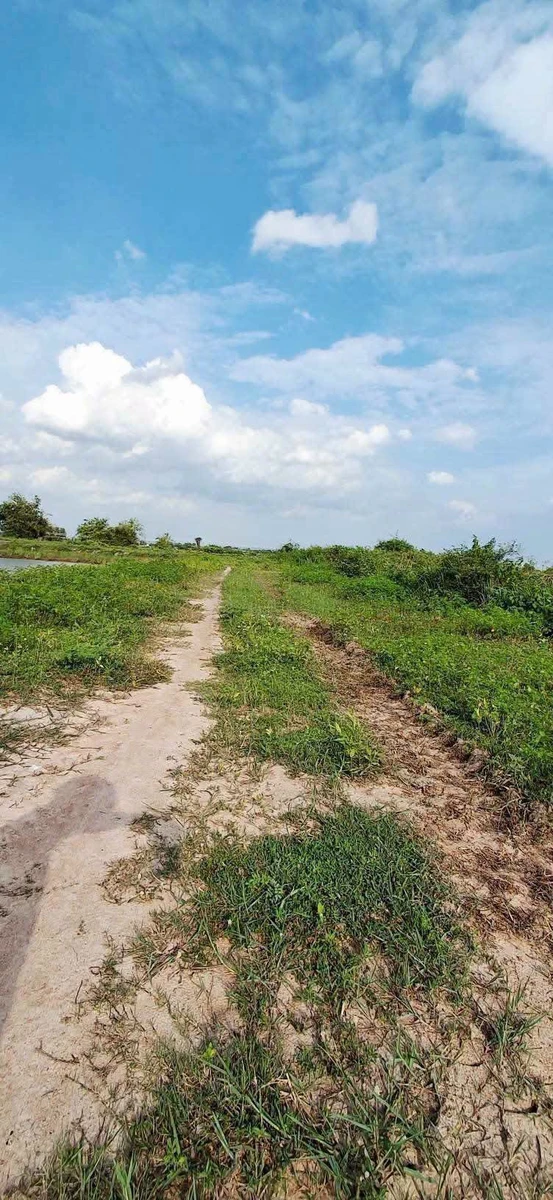 Bán đất cây trồng 180m² sổ riêng gần Phan Thiết - Ảnh thu nhỏ 2