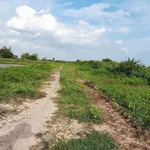 Bán đất cây trồng 180m² sổ riêng gần Phan Thiết - Ảnh thu nhỏ 2