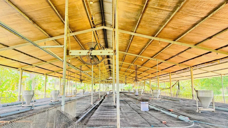 Bán trại heo 10.000m² Dầu Giây, Đồng Nai, 6,3 tỷ
