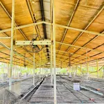 Bán trại heo 10.000m² Dầu Giây, Đồng Nai, 6,3 tỷ - Ảnh thu nhỏ 1