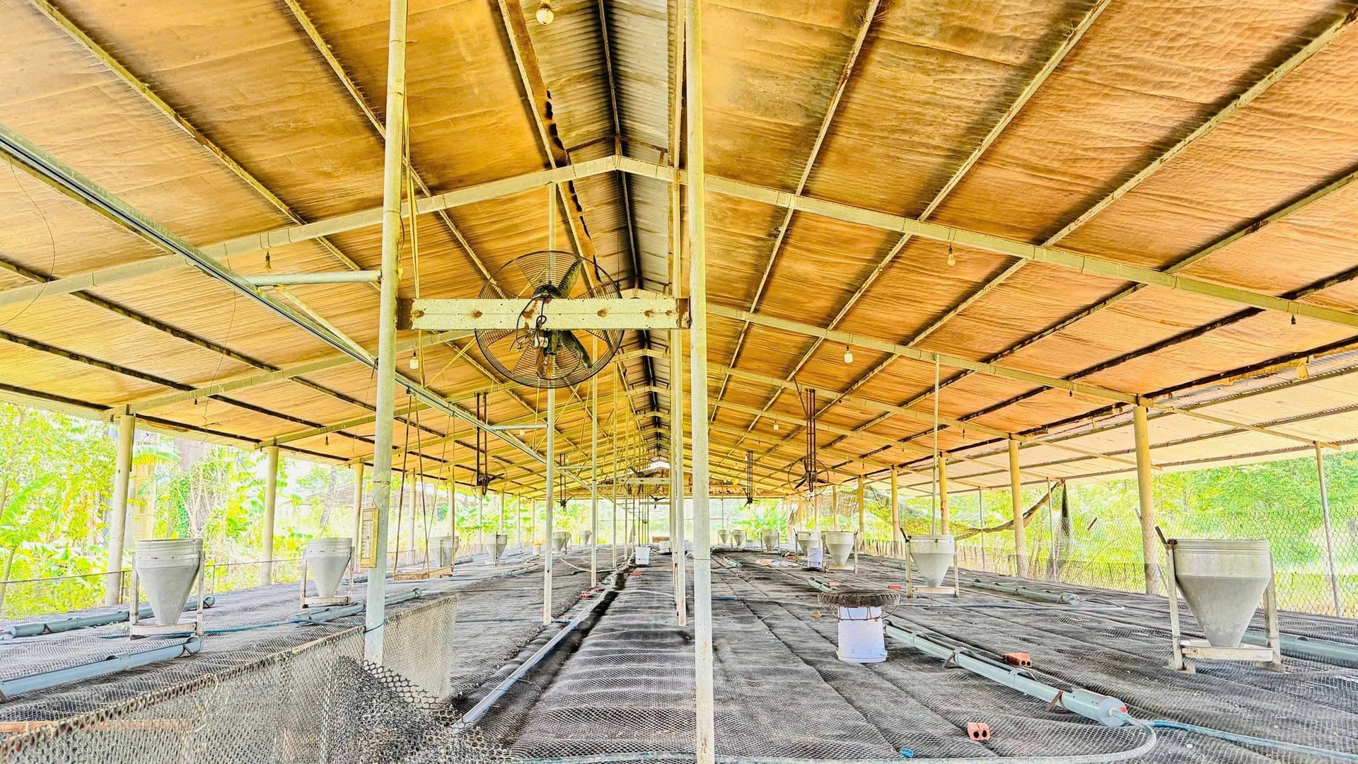 Bán trại heo 10.000m² Dầu Giây, Đồng Nai, 6,3 tỷ - Ảnh 1