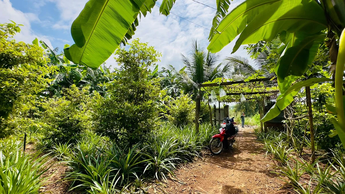 Bán nhà 2 phòng ngủ Hưng Thịnh Đồng Nai 1.386m² - Ảnh thu nhỏ 3