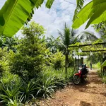 Bán nhà 2 phòng ngủ Hưng Thịnh Đồng Nai 1.386m² - Ảnh thu nhỏ 3