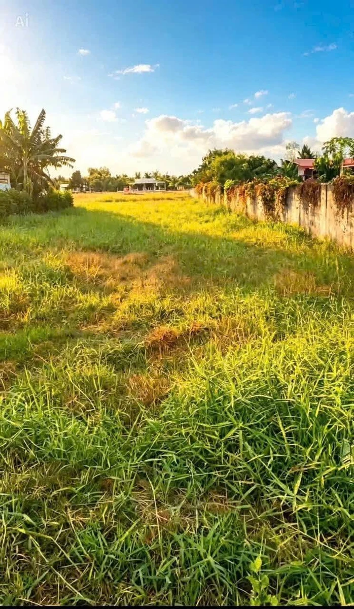 Bán 1800m2 đất lúa mặt tiền Phước Tuy, Cần Đước, Long An - Ảnh 1