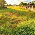 Bán 1800m2 đất lúa mặt tiền Phước Tuy, Cần Đước, Long An - Ảnh thu nhỏ 1
