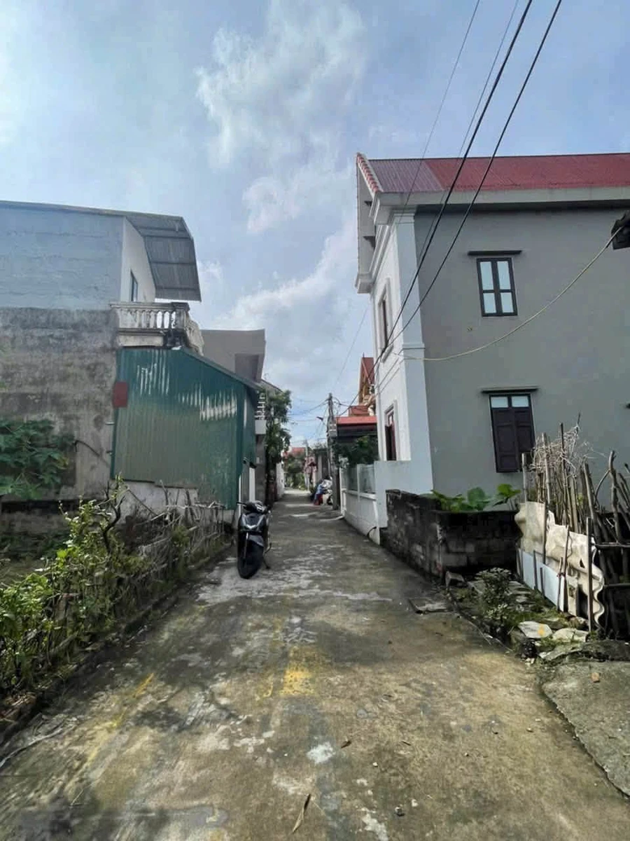 Bán lô đất góc 110m2 mặt tiền 8m Mạo Điền Hải Phòng - Ảnh thu nhỏ 3