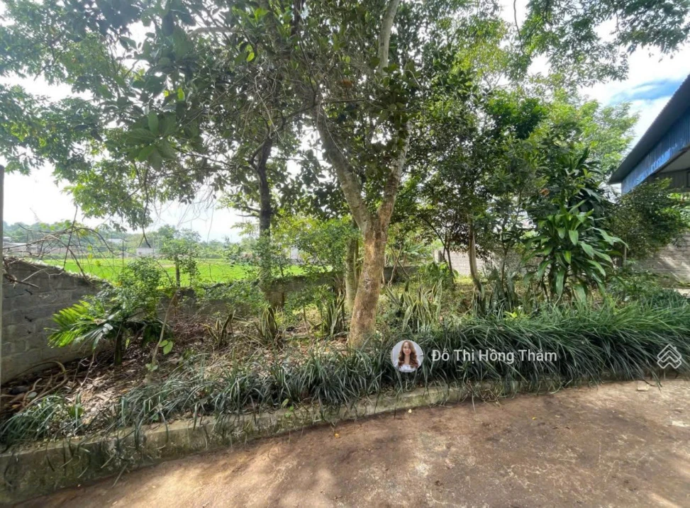 Cần bán 933m2 full thổ cư sẵn nhà cấp 4, bám đường to tại xã Cao Dương, giá rẻ chỉ 4 triệu/m2 - Ảnh thu nhỏ 3