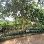 Cần bán 933m2 full thổ cư sẵn nhà cấp 4, bám đường to tại xã Cao Dương, giá rẻ chỉ 4 triệu/m2 - Ảnh thu nhỏ 3