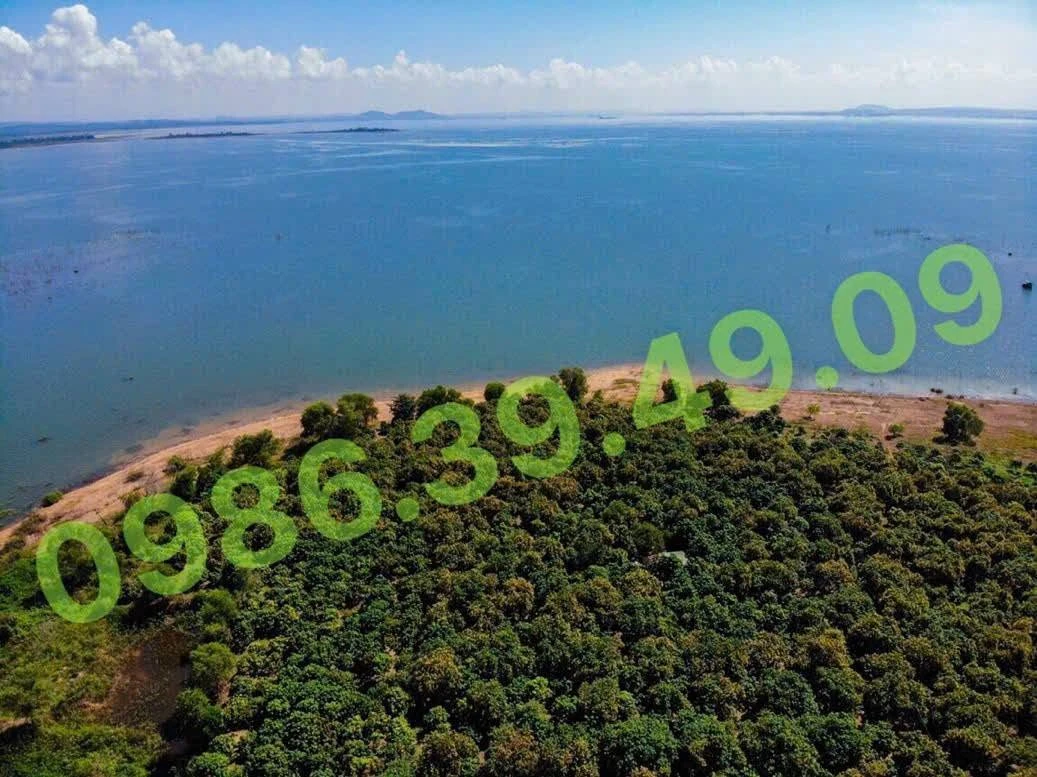 Bán đất vườn 16.500m² view Hồ Trị An, Vĩnh Cửu, Đồng Nai - Ảnh thu nhỏ 3