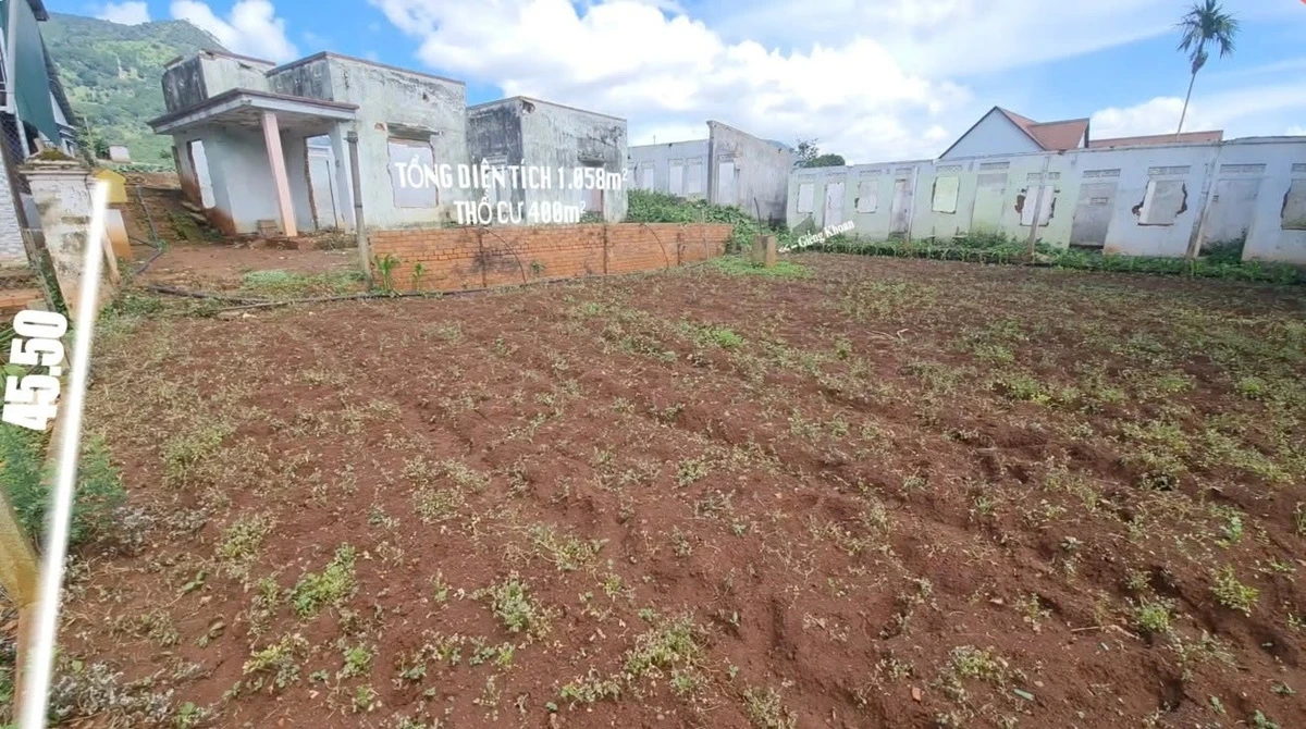 Bán đất 1058m2 (400m2 thổ cư) Hiệp Thạnh 2,8 tỷ - Ảnh thu nhỏ 2