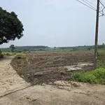 Đất gần sân bay Long Thành giá rẻ hơn thị trường 30% có sẵn 600m2 thổ cư - Ảnh thu nhỏ 4