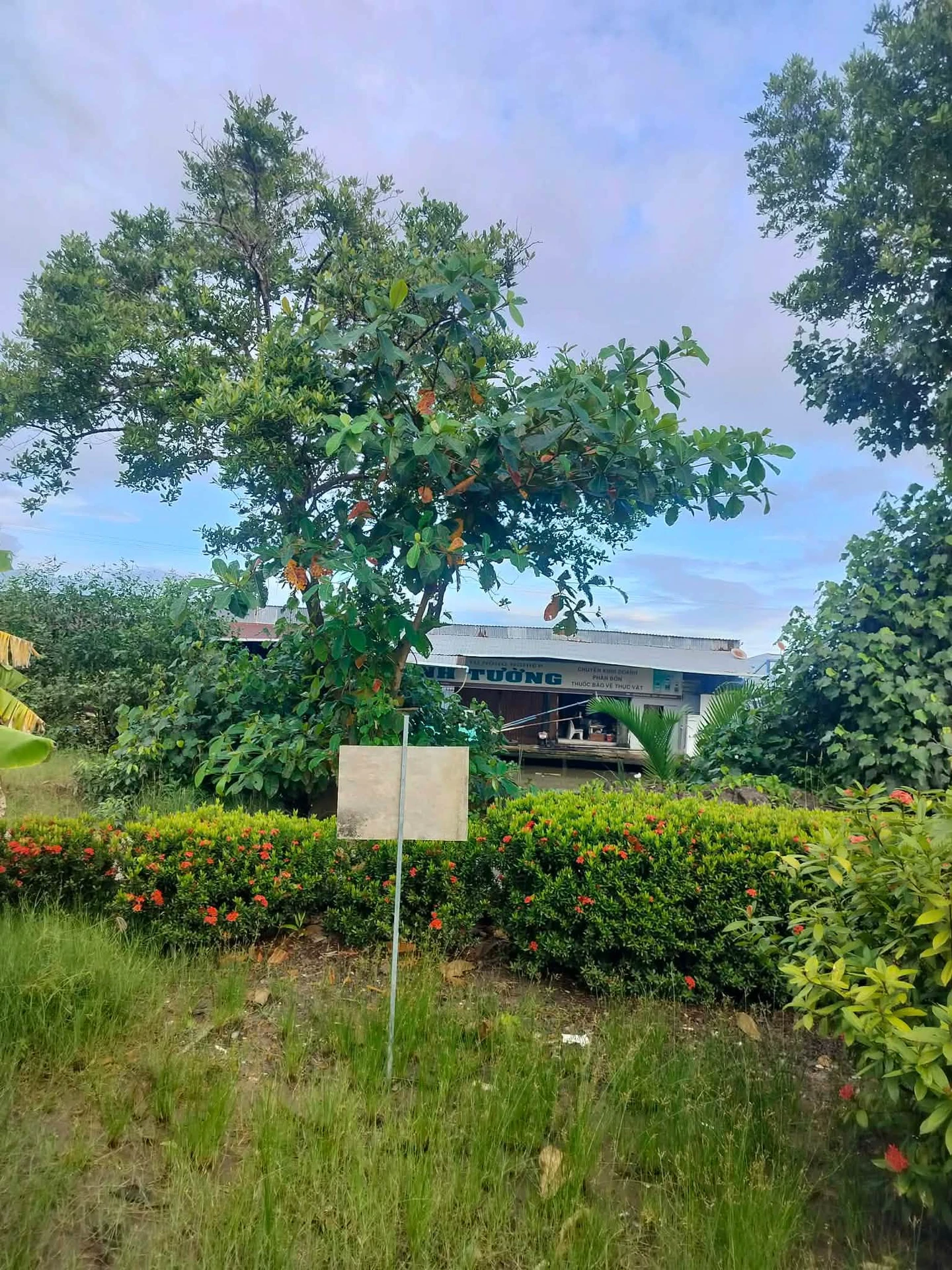 Bán nền đất Kinh Dài Tây Yên 8x30m 500 triệu - Ảnh 1