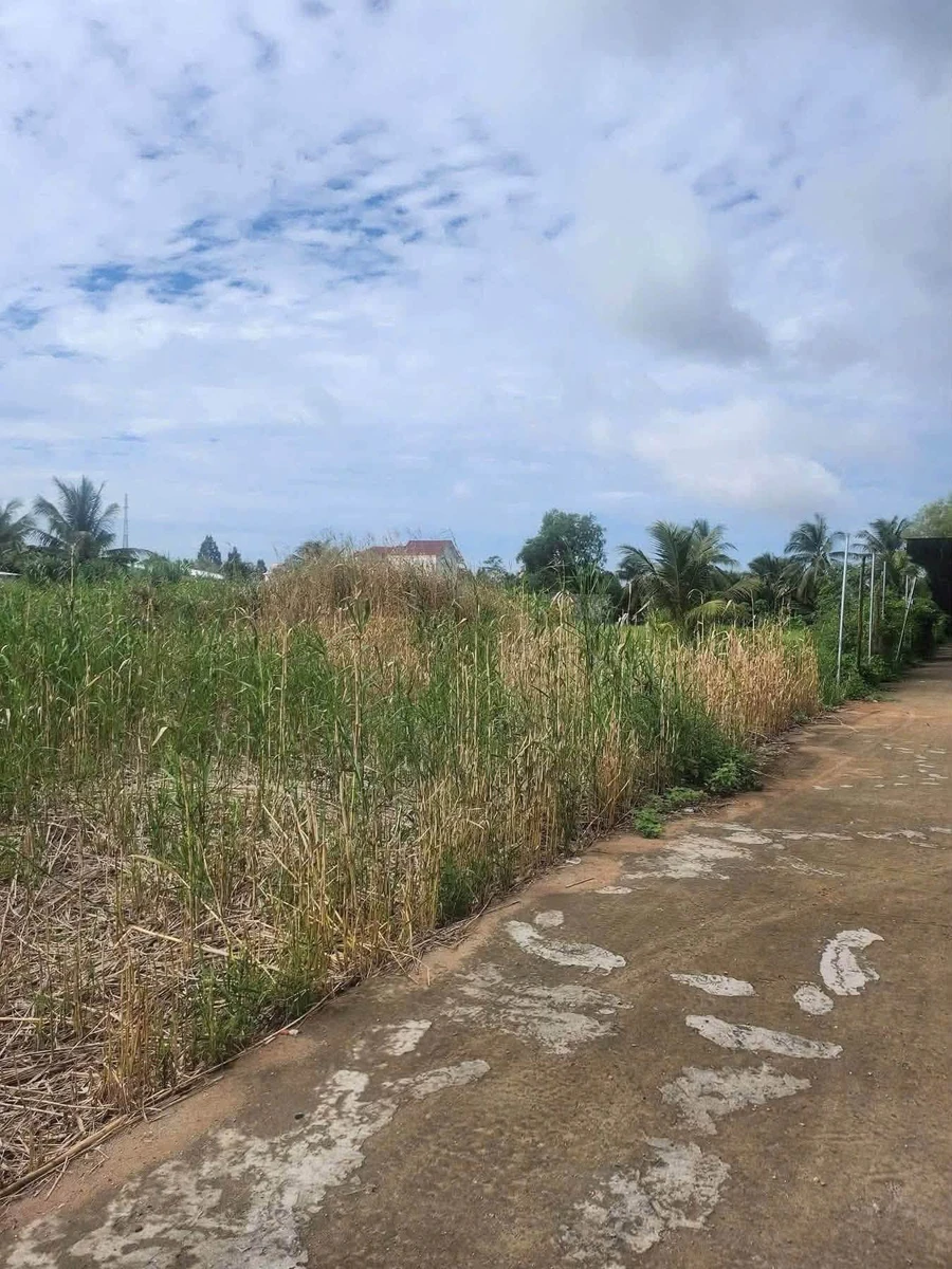 Bán nền 100m2 Bình Chánh 740 triệu - Ảnh thu nhỏ 2