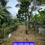 Bán nhà 2 phòng ngủ 243m2 đất thổ cư gần chợ Đức Tân, Tân Trụ, Long An - Ảnh thu nhỏ 4