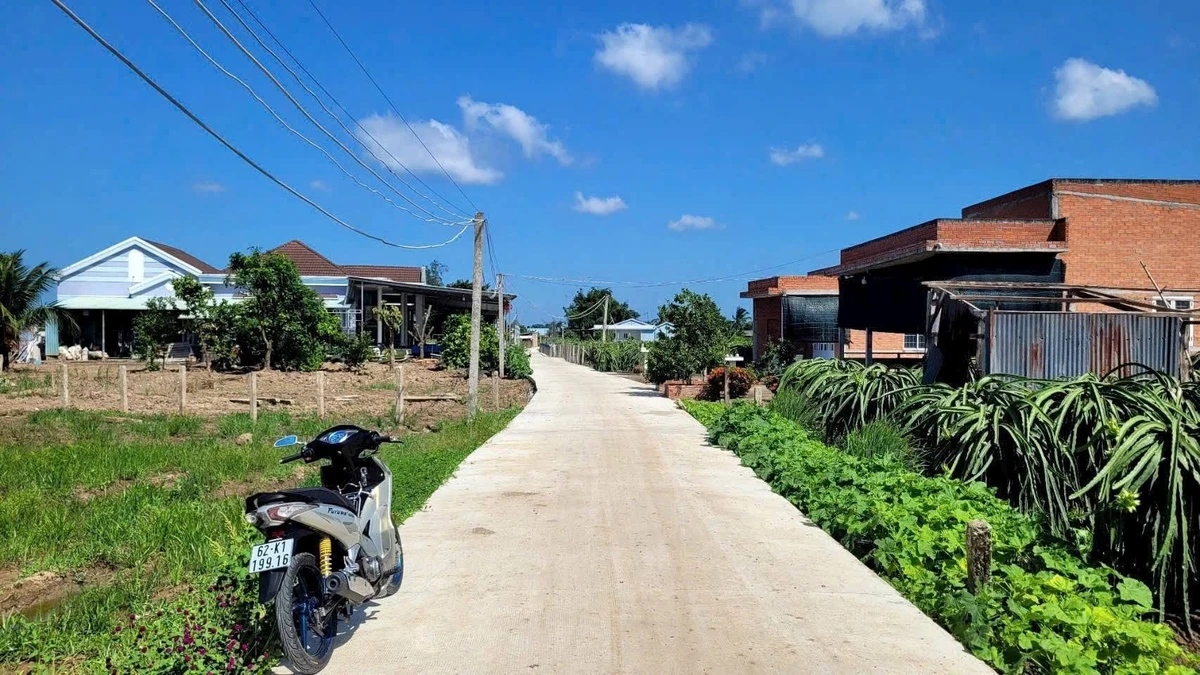 Bán lô đất thổ 122,5m² Châu Thành Long An 300 triệu - Ảnh thu nhỏ 2