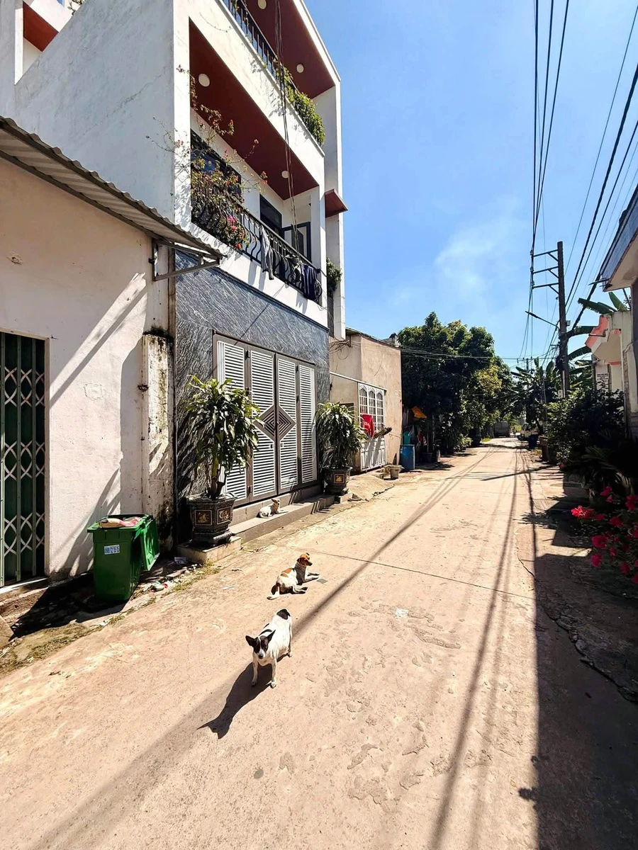 Bán dãy trọ 6 phòng + 1 kiot Trảng Dài cho thuê 10 triệu/tháng - Ảnh thu nhỏ 3