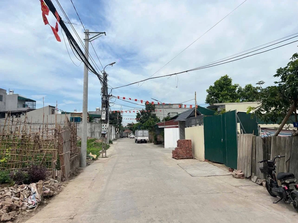 Bán lô đất 46.2m² Nhị Châu, Hải Dương, giá 1 tỷ - Ảnh 1
