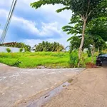 Bán đất lô góc 2 mặt tiền 190m2 giá 529 triệu sát ranh TP. Tân An, Long An - Ảnh thu nhỏ 4