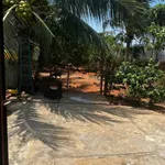 Bán nhà vườn Phan Thiết 891.6 m2 - 5.8 tỷ - Ảnh thu nhỏ 5