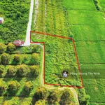 980tr, 1000m2 có thổ cư gần hết đất, gần dự án KCN Hiệp Thạnh, đường bê tông - Ảnh thu nhỏ 5