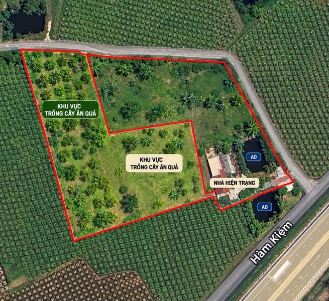 Bán nhất vườn 10.000m² gần Novaworld Phan Thiết 4 tỷ