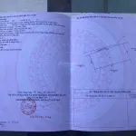 Bán 2618m2 khu phố tây Ông Lang, mặt tiền khủng 60m. Làm Resort quá đẹp. Giá giảm shock chỉ 9.9 tỷ - Ảnh thu nhỏ 9