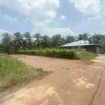 Bán nền đất thổ cư 200m2 Bình Phú, Phường 7, Bình Chánh - Ảnh thu nhỏ 3