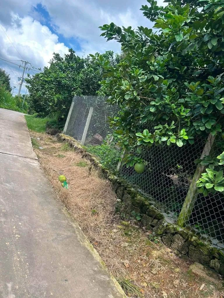 Bán đất 4,9 sào Xã Núi Tượng Tân Phú 2,5 tỷ - Ảnh thu nhỏ 2