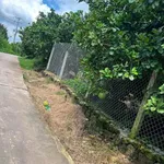 Bán đất 4,9 sào Xã Núi Tượng Tân Phú 2,5 tỷ - Ảnh thu nhỏ 2