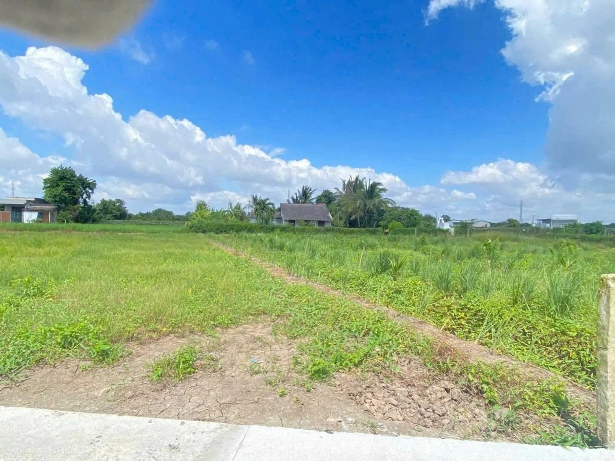 Bán đất thổ cư 115m² Hoà Phú, Long An, giá 499 triệu - Ảnh 1